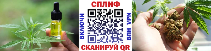 Еда ТГК конопля  Купить где  Куса 