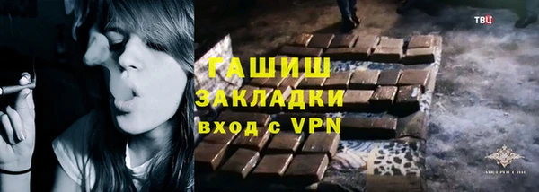 стаф Богданович