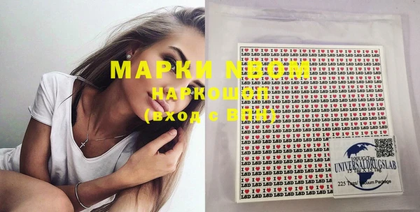стаф Богданович