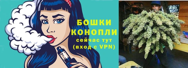 шишки Богородицк
