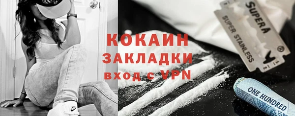 шишки Богородицк